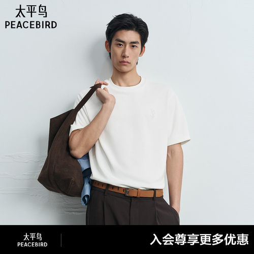 【商场同款】太平鸟男装圆领纯色T秋季新款刺绣短袖T恤B1CNG3137
