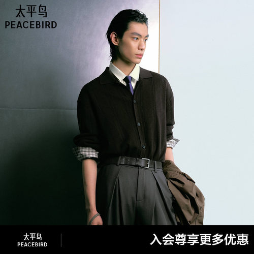 【商场同款】太平鸟男装 布朗假日2026年秋季新款针织衫B1EDG3338