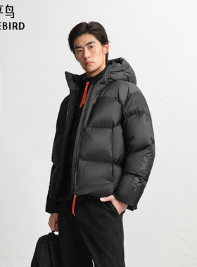 【AIRxPEACE】太平鸟男装立领连帽排骨羽绒服新款鹅绒服B2ACF4625