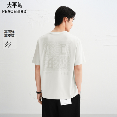 太平鸟男装 高弹力美式刺绣休闲白色圆领短袖T恤潮流体恤衫