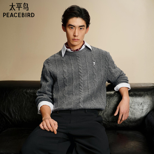 休闲毛衫 太平鸟男装 男士 26春新款 绞花宽松毛衣潮 经典 糯米绒