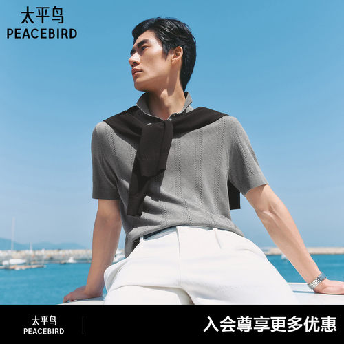 【商场同款】太平鸟男装 2026年夏季新款针织Polo衫男B1EEG2219#