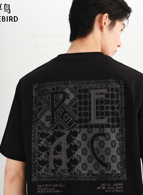 【商场同款】太平鸟男装T恤25秋季新款重磅印绣短袖潮 B1CNF3120