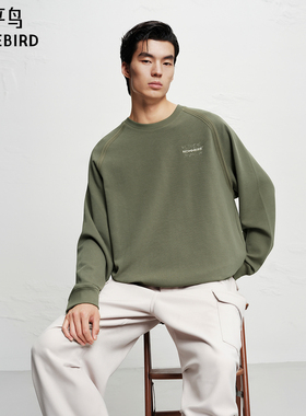 【商场同款】太平鸟男装卫衣25冬季新款阔版刺绣上衣 B2CRF423J