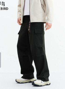 【商场同款】太平鸟男装工装休闲裤2026新款潮流直筒裤B2GLG1159