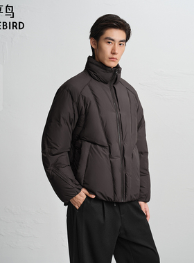 【商场同款】太平鸟男装 休闲羽绒服立领时尚面包服男 B2ACF4523