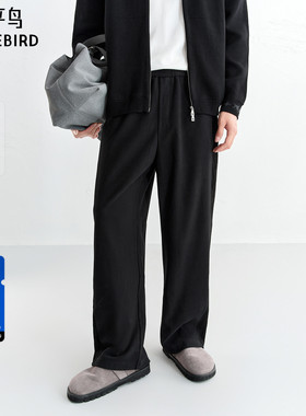 【商场同款】太平鸟男装 2025年冬季新款抽绳卫裤休闲裤B1GMF4461