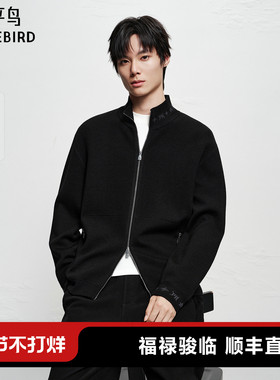 【商场同款】太平鸟男装 休闲毛衫字母提花羊毛混纺毛衣B1EAF4232