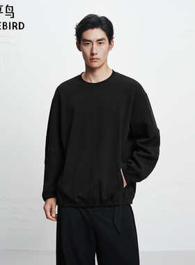【商场同款】太平鸟男装卫衣25冬季新款圆领套头衫潮 B2CRF4D08