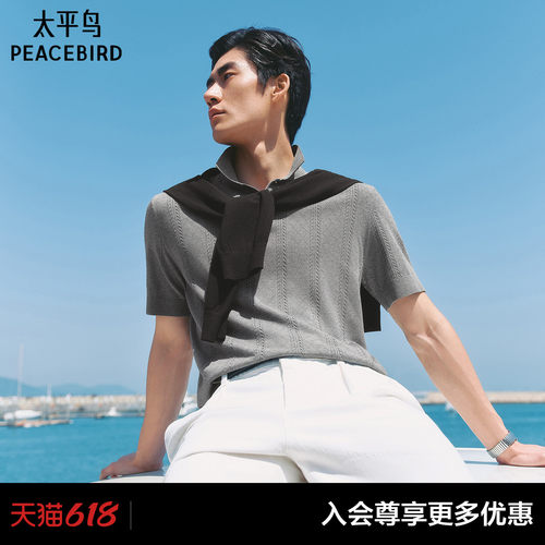 【商场同款】太平鸟男装 2026年夏季新款针织Polo衫男B1EEG2219#