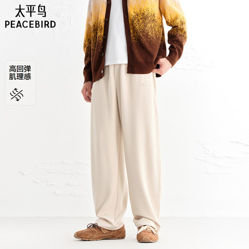 【商场同款】太平鸟男装休闲裤25秋季新款直筒卫裤潮 B2GF3440