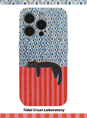 波浪条纹慵懒黑色猫猫菲林二合一手机壳适用苹果17nova14华为p70mate60小米15opporen14ovivo荣耀300iPhone16