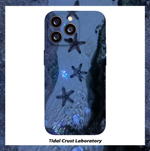 蓝色河流海星绚烂忧郁菲林二合一手机壳适用苹果17nova14华为p70mate60小米15opporen14ovivo荣耀300iPhone16