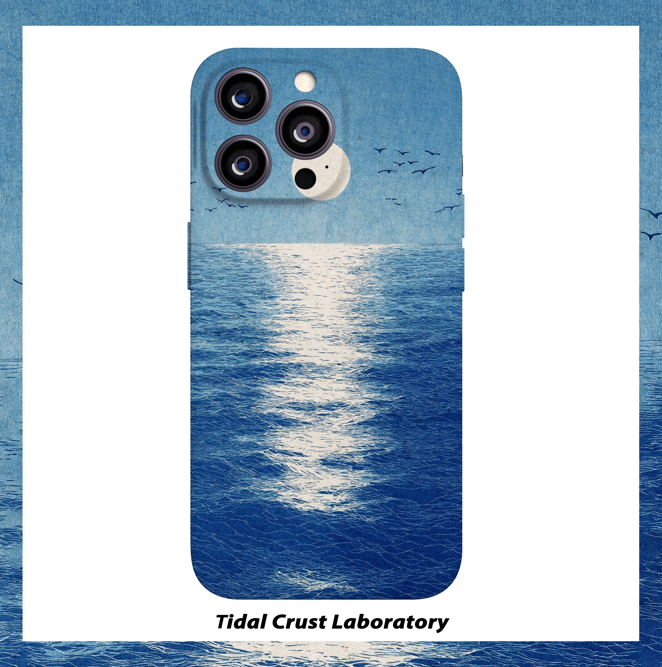 海上生明月蓝色海鸟菲林二合一手机壳适用苹果17nova14华为p70mate60小米15opporen14ovivo荣耀300iPhone16,3C数码配件,手机保护套/壳,淘宝优惠券,粉丝福利购,淘宝优惠卷