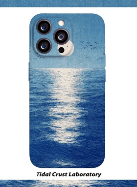 海上生明月蓝色海鸟菲林二合一手机壳适用苹果17nova14华为p70mate60小米15opporen14ovivo荣耀300iPhone16