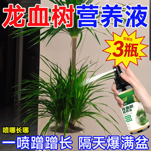 龙血树家用室内龙须树营养液叶子发黄生长专用枯萎免稀释营养液p1