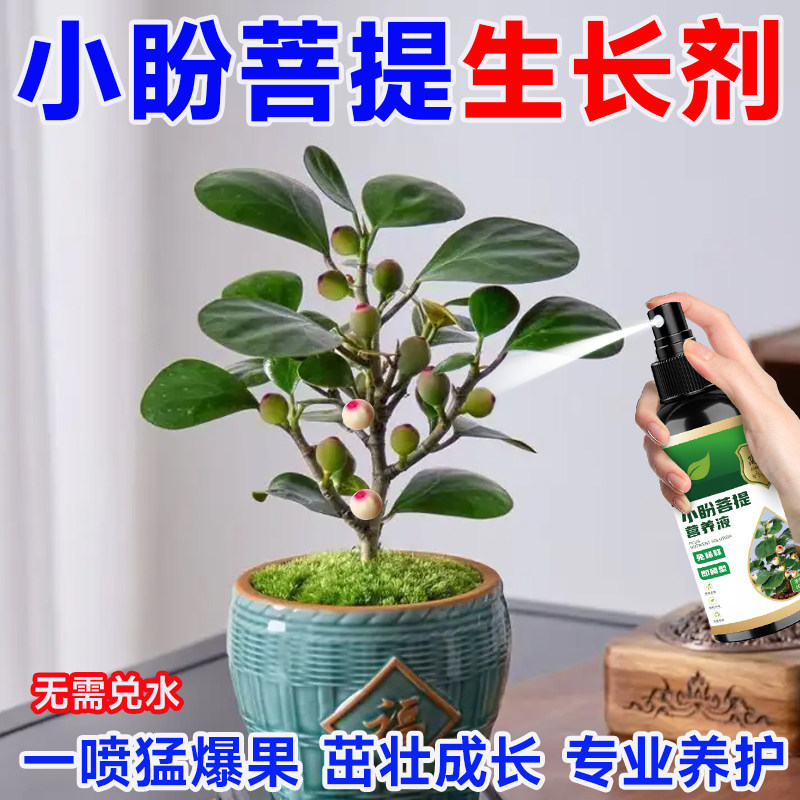 小盼菩提树专用营养液免稀释肥料针对掉果黄叶家用绿植通用液体肥