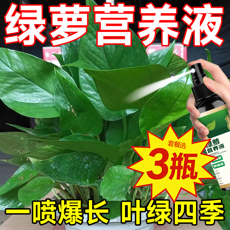 绿萝专用营养液免稀释一喷绿增绿催壮根生根防黄叶叶子发黄绿植