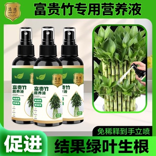 富贵竹水培专用营养液体肥防黄叶枯萎促生根粗壮营养液