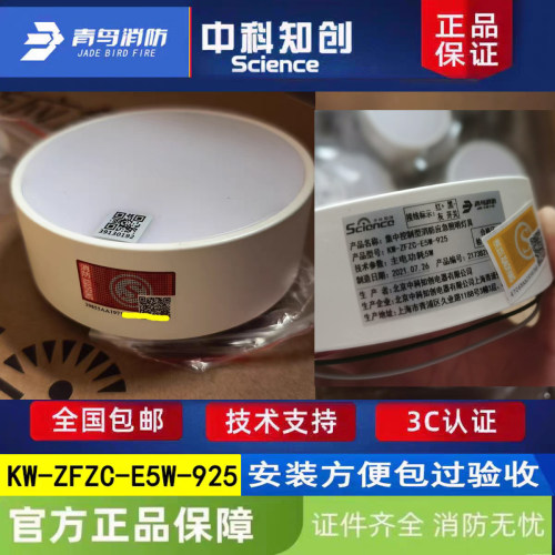 中科知创集中电源集中控制型消防应急灯 KW-ZFZC-E5W-925低压全新