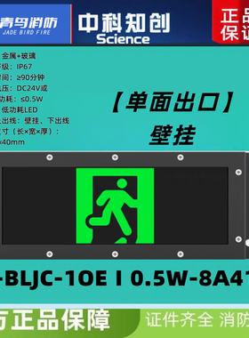 中科知创IP67防水指示灯 单面疏散KW-BLJC-1OEⅠ0.5W-8A41A壁挂式