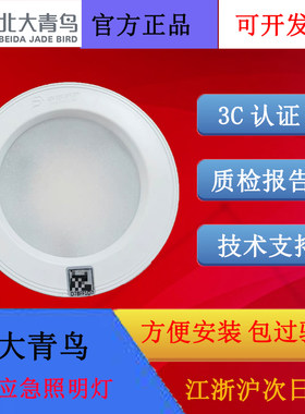 北大青鸟8W应急照明灯17Z13A全新