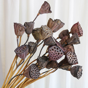 天然莲蓬真花干花花束客厅摆设装 禅意插花 饰摆件造景侘寂风新中式