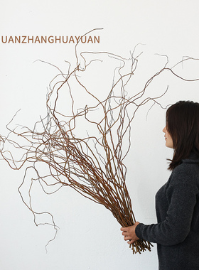 天然龙柳干枝柳树枝条干花花束长枝高级感真花干树枝摆件艺术插花