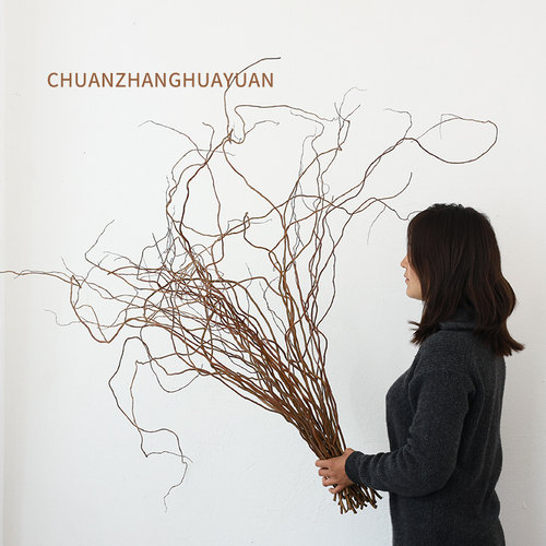 天然龙柳干枝柳树枝条干花花束