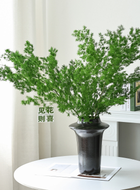 绿色蓬莱松永生花高级感真花干花花束天然风干鲜花干树枝花瓶插花