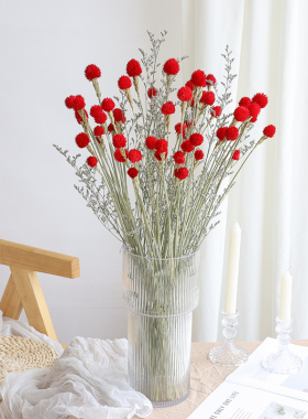 千日红永生花干花花束红色DIY材料粘花云南高级感真花装饰草莓花
