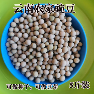 孕妇梦见豌豆是什么意思怀孕梦见豌豆是什么意