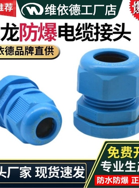 尼龙电缆防爆格兰头蓝色增安型防水固定头锁紧填料函线缆密封接头