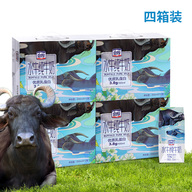 忠厚水牛奶200ml*12瓶4箱装 3.8蛋白 130mg钙老人小孩学生牛奶