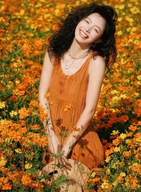 硫化菊花种籽子波斯菊黄秋英硫华菊花籽四季播种开花易种活耐贫瘠