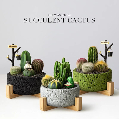 北欧ins风高颜值彩色多肉花盆创意个性吊篮盆栽吸水盆绿植阳台种