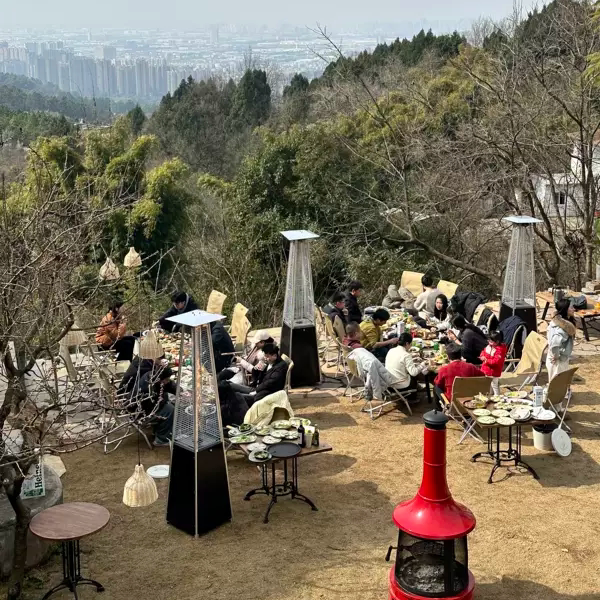 户外庭院烤火炉取暖器天燃气取暖炉塔型取暖炉室外真火壁炉照明炉