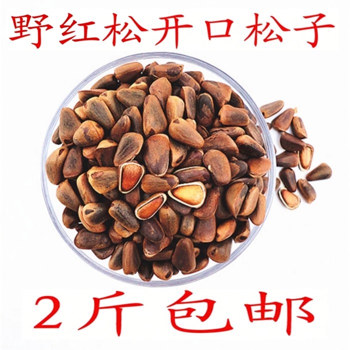 原味红松子坚果东北小兴安岭伊春龙江特产开口干果零食新货原味