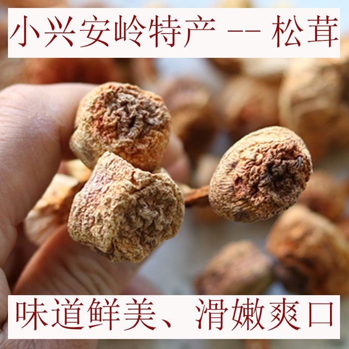 小兴安岭松茸干货松茸菌蘑菇煲汤料黑龙江伊春特产产地发货250g