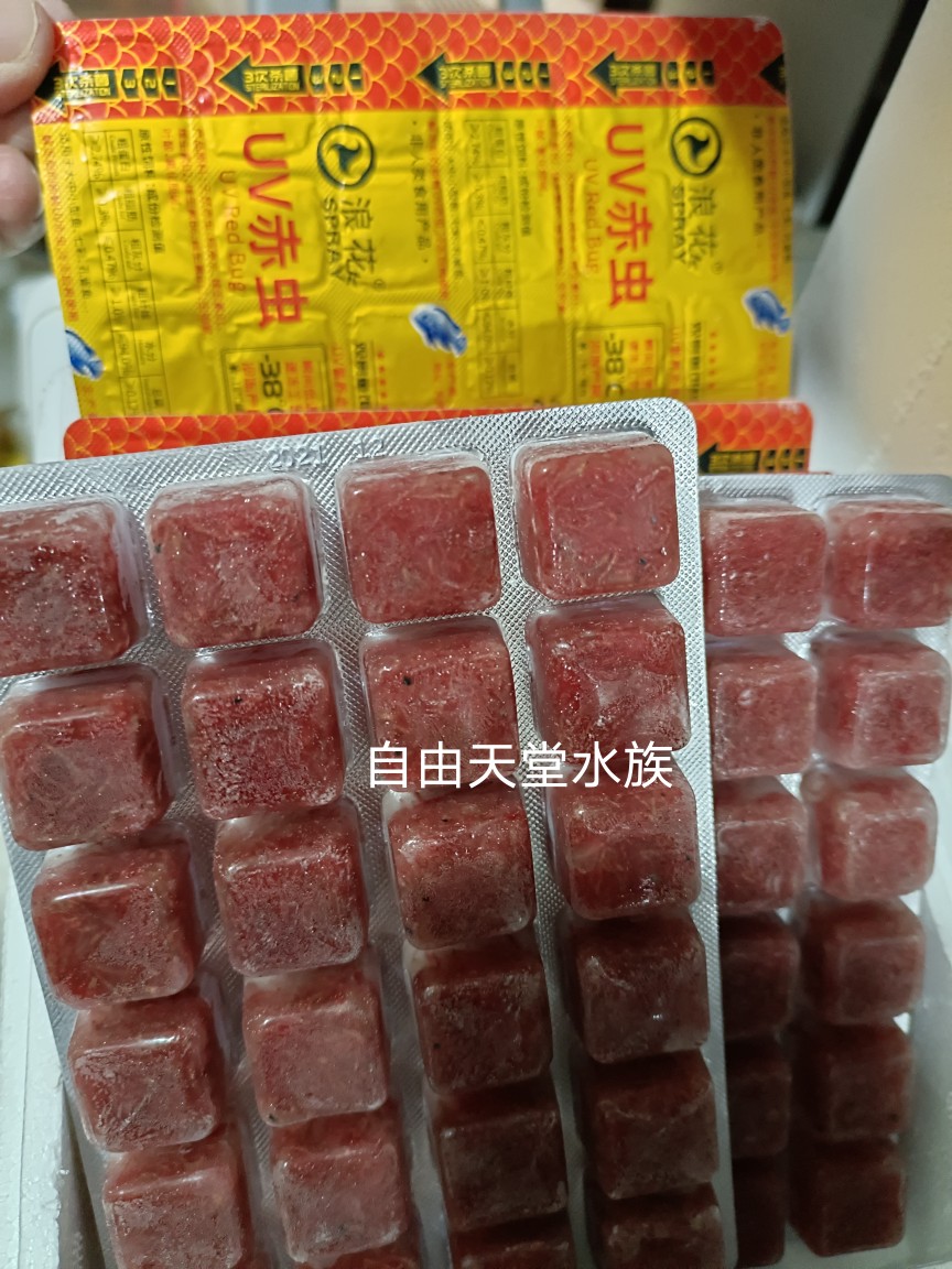 UV紅蟲血蟲紅線蟲金魚恐龍魚七彩魚食觀賞魚飼料小型魚錦鯉飼料