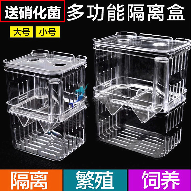 鱼缸水族箱悬浮式鱼类大号盒包邮