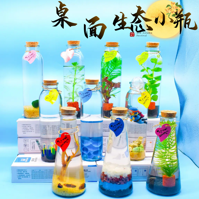 鱼缸造景生态瓶微景观儿童节礼物