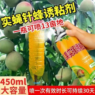 瓜果实蝇针蜂诱粘果实蝇诱粘剂灭果蝇神器昆虫针蜂克星菜地粘虫板
