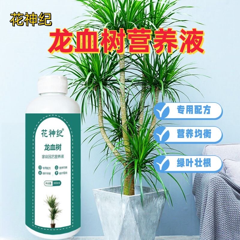 龙血树营养液专用肥料龙须树室内盆栽治黄叶干尖绿植神器