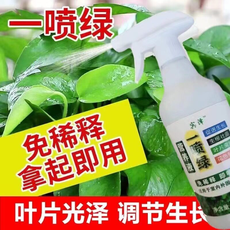 叶绿素花卉营养液氨基酸叶面肥提苗壮棵增绿增厚果树蔬菜水溶肥