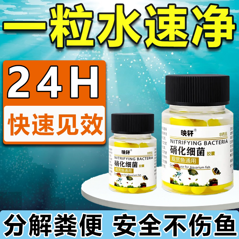 拍1发2鱼塘水质净化消毒杀菌药硝化细菌鱼缸用专用胶囊净水剂水质