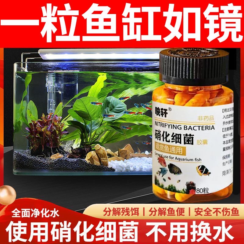 养鱼用品硝化细菌胶囊观赏鱼缸去腥臭味净化降解氨氮