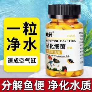 厂家硝化细菌水质稳定剂活菌浓缩激活胶囊消化胶囊培养菌水质