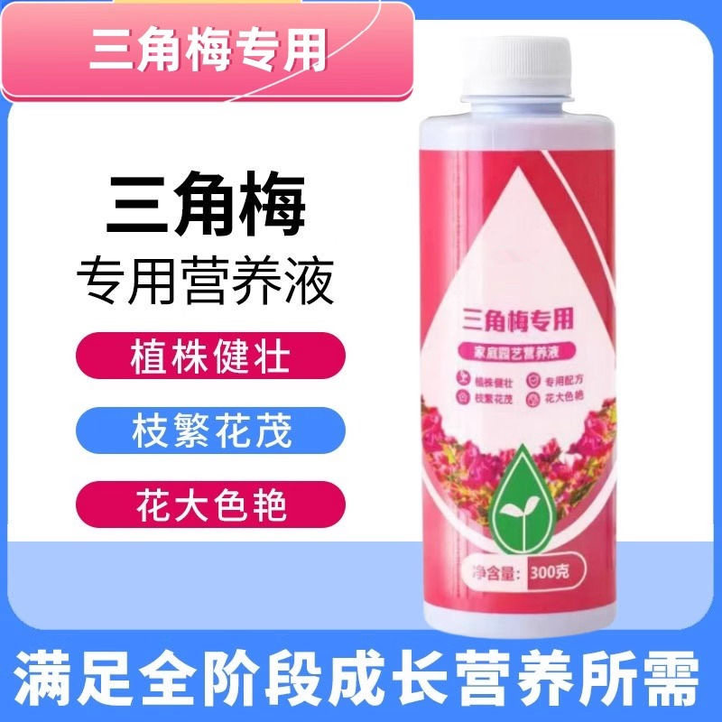 买一发四三角梅开花肥料催花营养液养花卉梅花促花保花腊梅催花素