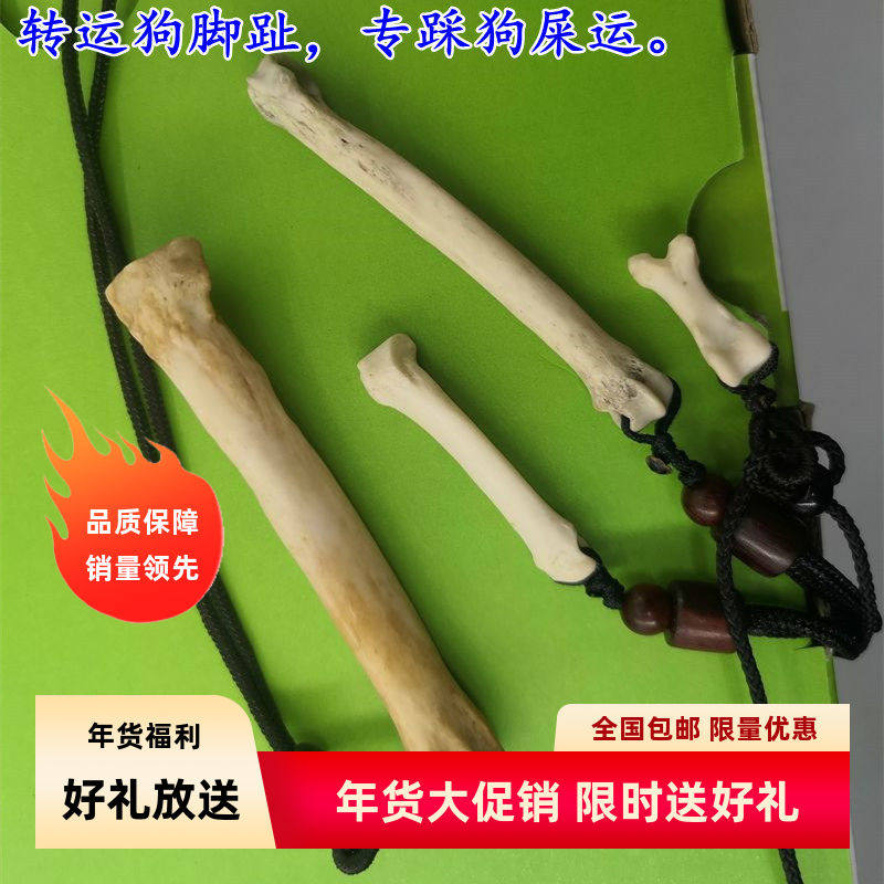 转运短爪骨头潮项链吊坠手工工艺装饰标本饰品脚趾骨编制手工挂